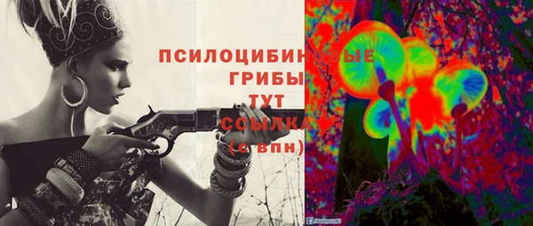 spice Алексеевка